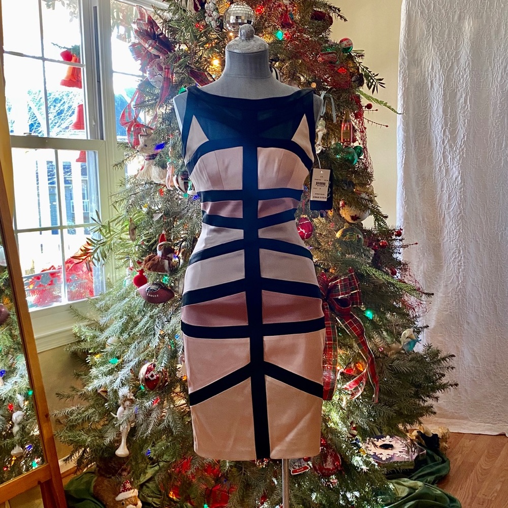 Jax cocktail dress NWT